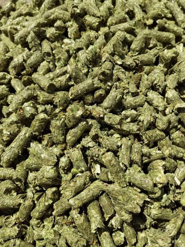 High quality ruminant feed for cattle and sheep direct sales - Image 2